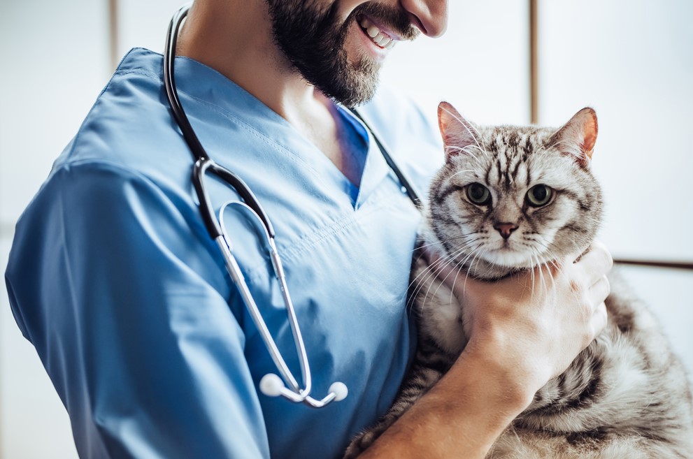Veterinary Pharmacy Services: Comprehensive Care for Your Pets